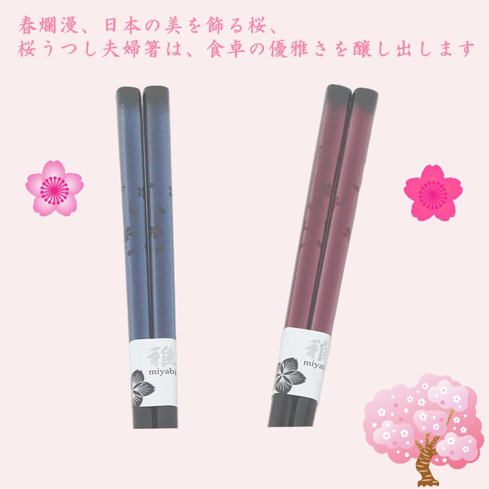 Spring In Full Japanese 23cm Wakasa Lacquer Chopsticks for Cherry Blossom Dishwasher Made In Wedding Everyday Black Box Bloom Beauty Couples,