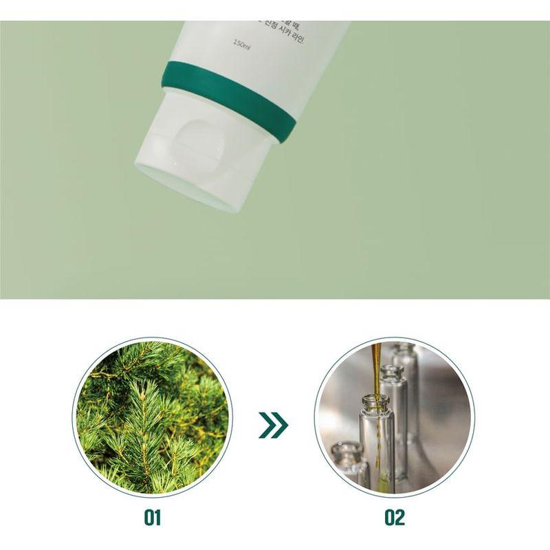 ROUND LAB Pine Calming Cica Cleanser