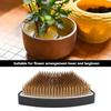 Arc shaped Flower Kenzan Holder Flower Arrangement Needle Pin Arranging Tool Accessories(S )