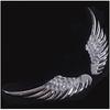 1 Pair 3D Stereo Car Body Sticker Angel Wings Badge Emblem Style Metal Zinc Alloy Decal Auto Exterior Decoration Accessories