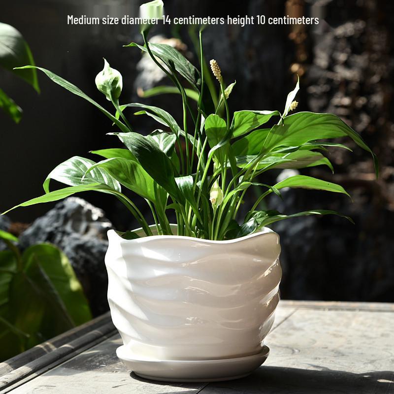 Elegant White Ceramic Flower Pot with Tray - Ideal for Ivy, Spider Plants, and Succulents