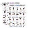 Poster Istruzioni Sollevamento Pesi 2 Pezzi Grafico Allenamento Manubri, Arte Murale Esercizi Total Body Modellamento Forza, Guida Fitness Allenamento