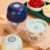 260Ml Electric Mini Garlic Chopper Usb Meat Grinder Ginger Vegetable Crusher With Safety Switch Portable Small Food Processor