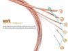 Alice AME422 Phosphor Bronze Folk Guitar Strings, Full Set of 6 Strings, 1st String Included