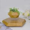 New Diamond-Shaped Magnetic Levitation Bonsai Flower Pot