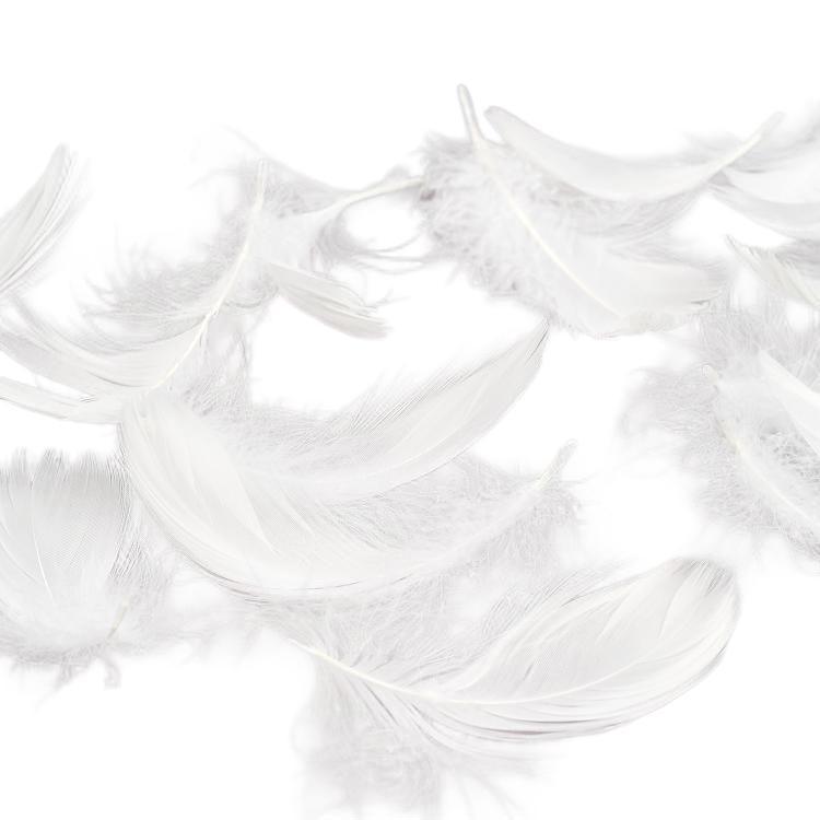 White Feather and Fur Backdrop Props for Photo Shoots