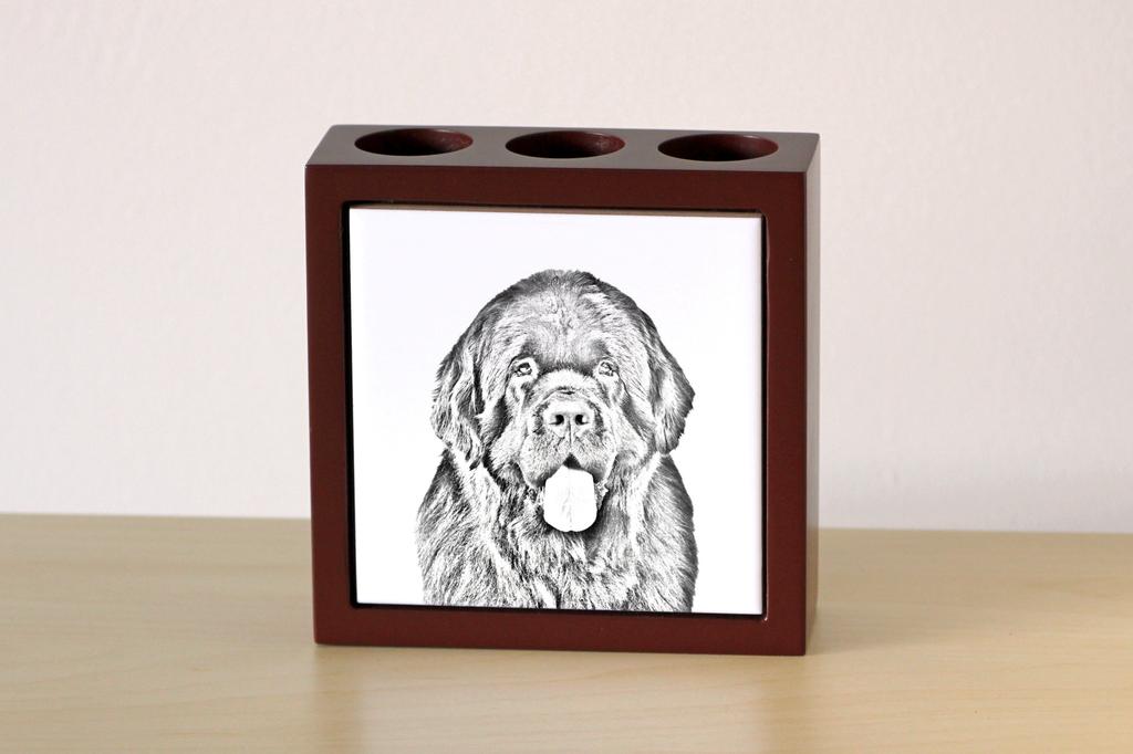 Newfoundland, Newfs, Newfies – Pen holder with a dog, desk organizer with a print | Art-Dog