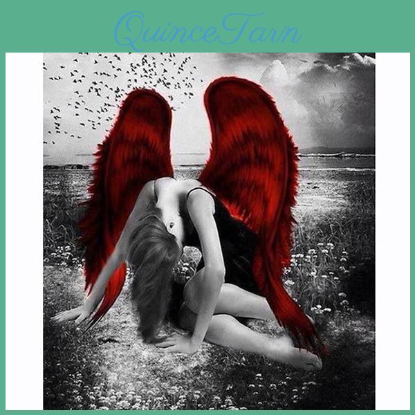 5d Painting Diamond Full Diy Red Wing Woman Diamond Embroidery Full Lay Cross Stitch Home Decor Handmade Gift
