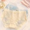 Yuzhaolin Damen Eis Seide Nahtlose Slips 4er-Pack