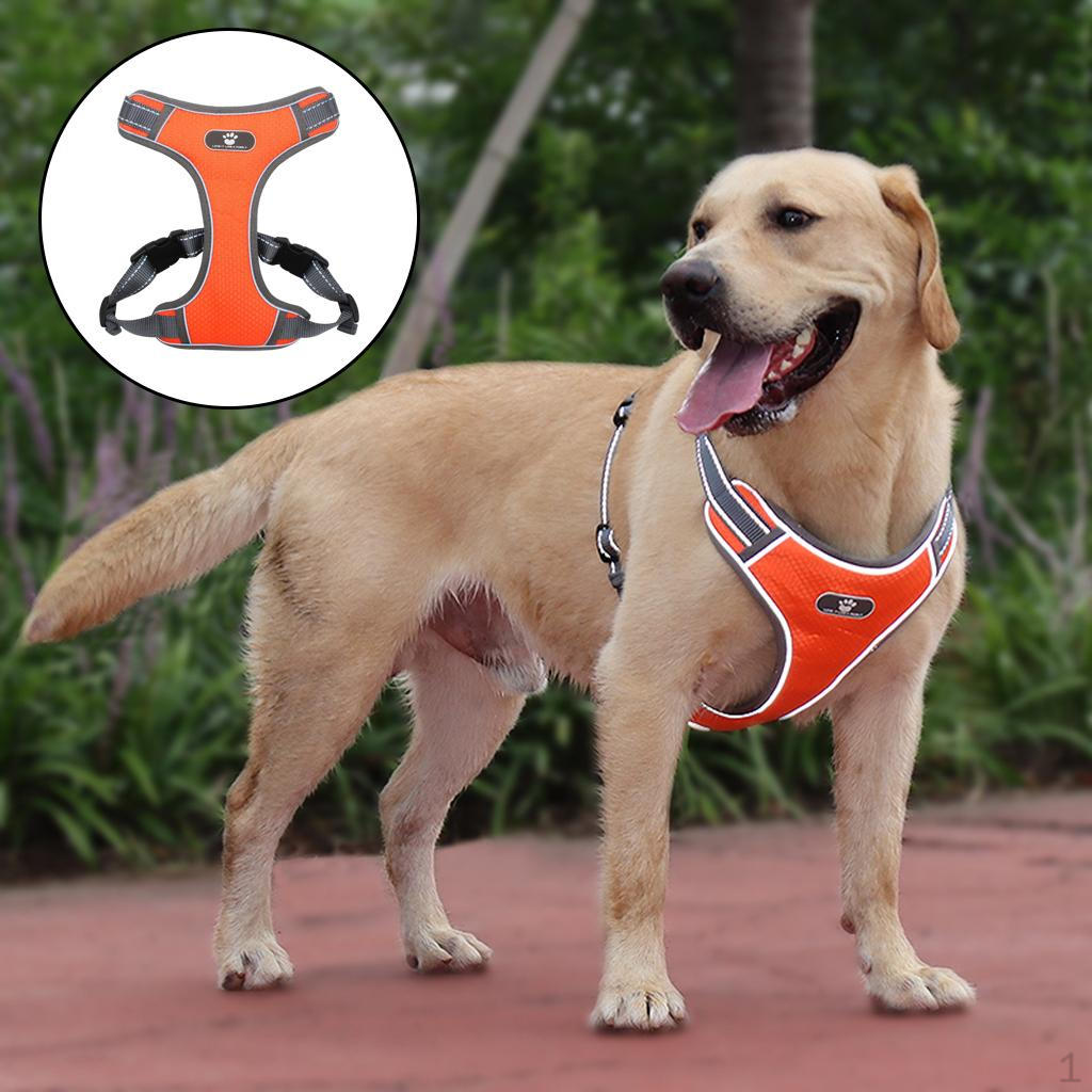 Pet Harness Easy Control Comfortable for Large Medium Dogs