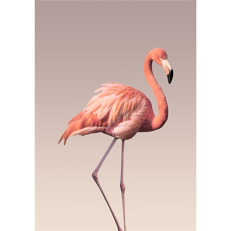 

5D DIY Алмазная картина Животное Вышивка крестом Полный круглый дрель Мозаика Алмазная вышивка Главная Декор стены Full Round 20x25CM