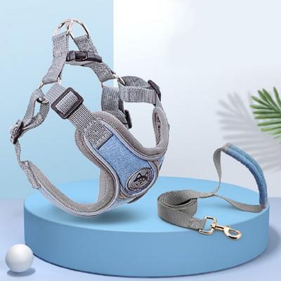 Full Pot Basic Harness + 2 Tow Leash Set X-Type Luminous Dog Small Dog Medium Dog, Blue