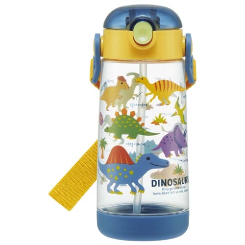 Skater Dinosaur Picture Water Bottle, 480ml Clear Bottle with Straw, for Boys, PDSH5-A