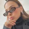 4pcs New y2k Small Frame Irregular Oval Sunglasses Women Luxury Brand Designer Vintage Sunglasses Popular Punk Hip Hop Shades