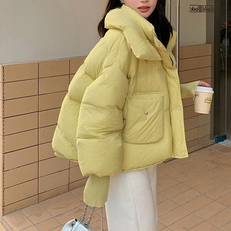 Clearance Down Jacket Women's Winter Women's Short Models, New Korean Version Autumn and Winter Women's Large-size Down Jacket
