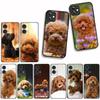 Funda Coque Cover for Samsung Galaxy A55 A56 A25 A36 A54 S8 S9 S21 S20 FE A53 A13 A12 A14 A33 A70 A71 A51 A21S Case Poodle Dog