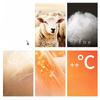Wool and Fleece Calf Socks, Thickened Knee-length Socks, Warm Thigh-high Socks, Slimming High Socks for Women in Autumn and Winter