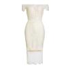 European & American Lace Bodycon Dress - Petite, Sexy, Hot Style