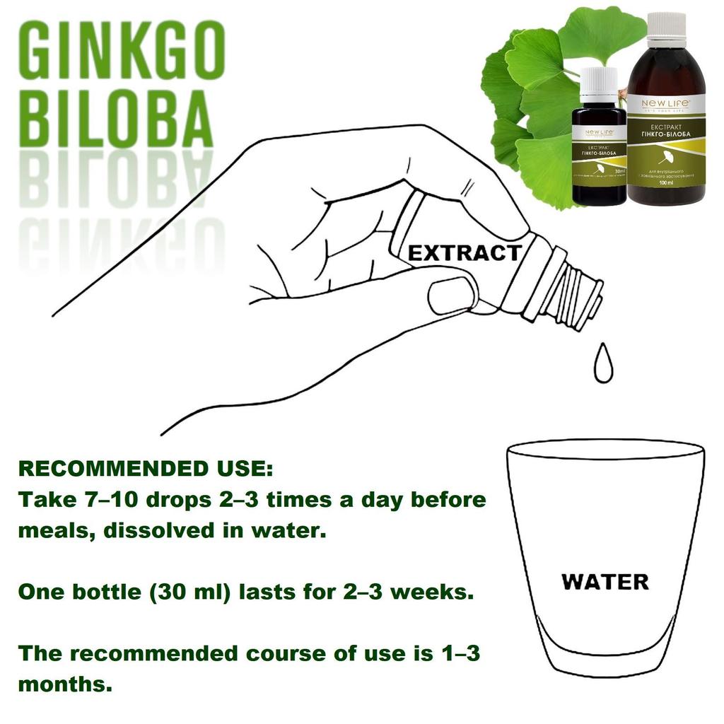 Ginkgo Biloba Extract Tincture Herbal Liquid Supplement Dietary New Life