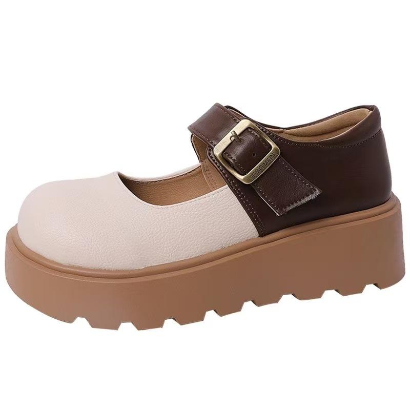 French Evening Breeze Single Shoes with Skirt Medium and High Heels Small Leather Shoes 2025 Spring and Autumn New Thick-soled Shallow Mouth Mary