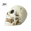 Halloween Miniature for DIY Landscaping Ornament, Skeleton Tombstone Miniature, Cute Mini Grim Reaper Bat Decor Haunted House Displays Figurine