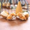 Fluffy Squirrel Plush Keychain Adorable Big Tail Stuffed Toy For Bags And Keys