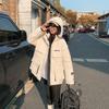 Automne Hiver Épaissir Chaud Parka Femmes Décontracté Doux Couleur Unie Grande Poche Lâche Manteau À Capuche Vestes Vêtements D'extérieur