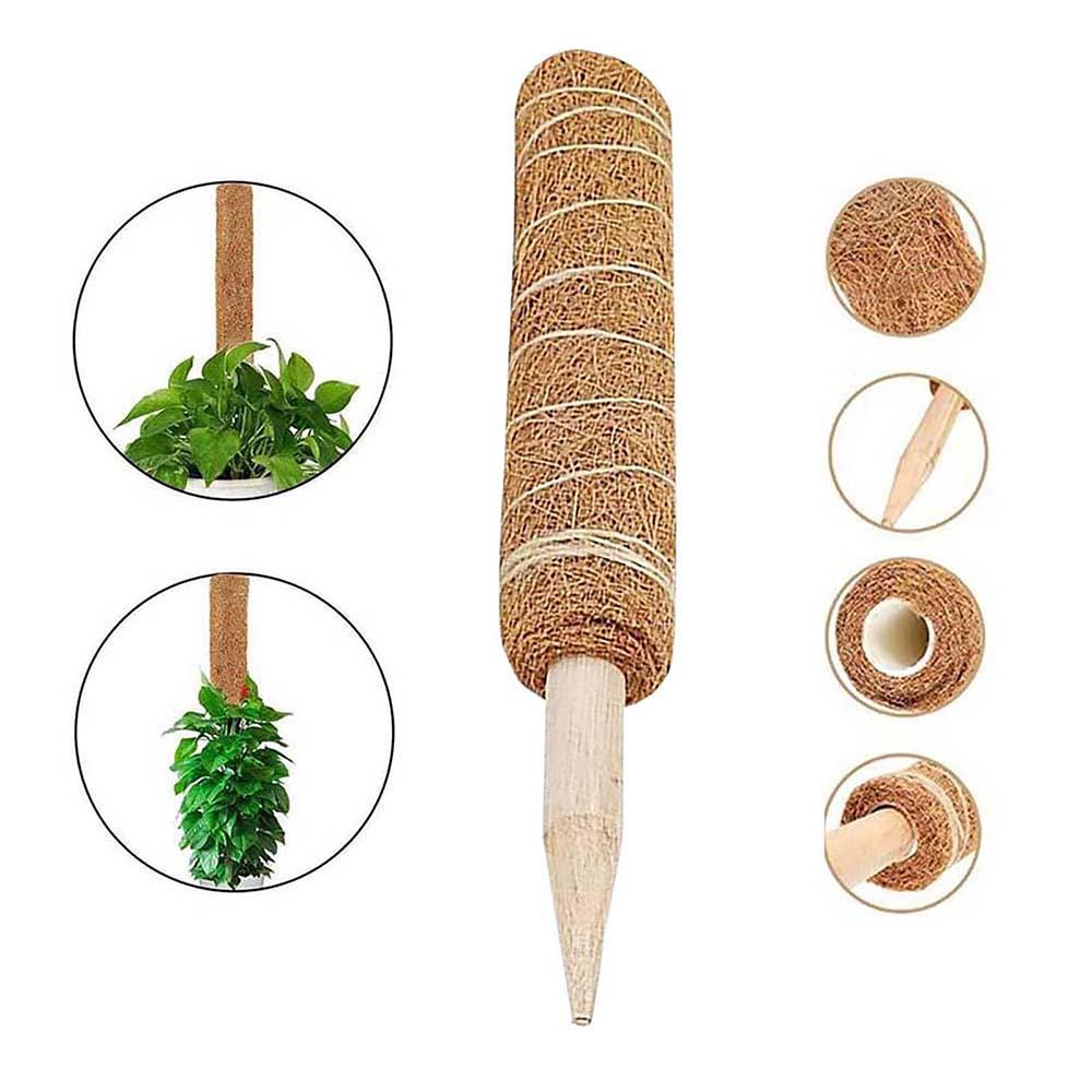 Natural Coconut Palm Rod Plant Support: 30cm/40cm/50cm, Modular Climbing Trellis for Vines