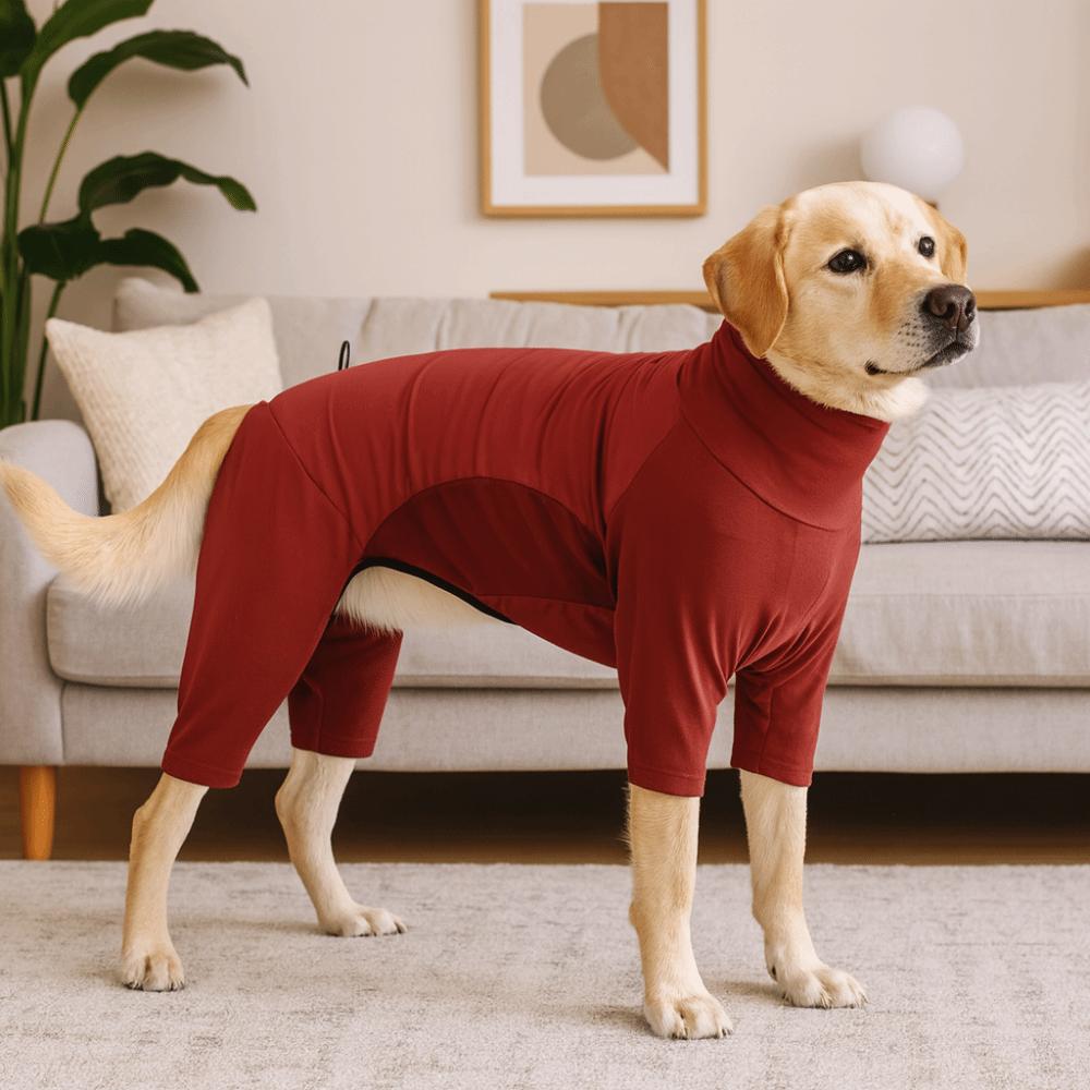 Windproof Winter Pet Jumpsuit High Collar Dog Soothing Clothes Dog Calming Wrap  Cold Weather