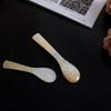 Seashells Conch Natural Teaspoon Stirring Tool Coffee Scoop Caviar Spoons