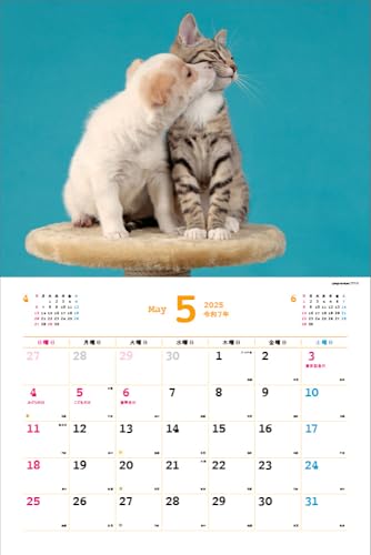 2025 Ημερολόγιο Nakayoshi Σκύλος/Γάτα <Γεμάτο χαριτωμενιά!> Κάθε μέρα είναι μια χαλαρωτική στιγμή > ([Ημερολόγιο])