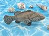 [Nekogami-yama] Grouper (Hata, Mibai) - Sea Fish, Shore, Figure, Model, Miniature, Ornament, Interior Decor, Collector's Item