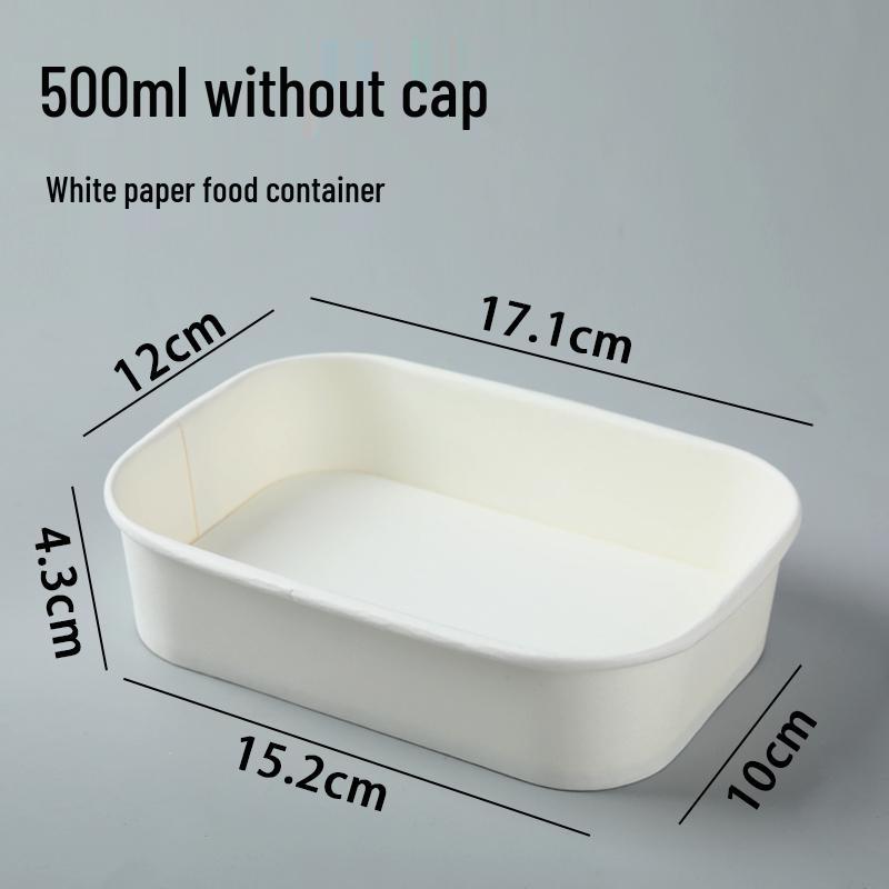 White Kraft Rectangular Disposable Lunch and Takeaway Box