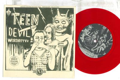7inch Record IDIOT FLESH  Teen Devil Worshipper RAR3 ROCK AGAINST R 1995 US Rock Used