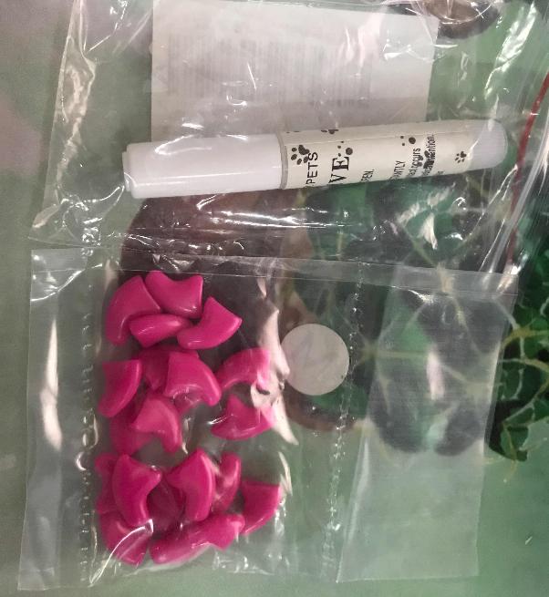 Colorful Cat Nail Caps Silicone Soft Cat Fingernail Cover Cat Paw Claw Pet Nail Protector With Free Glue Pet Supplies