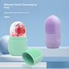 Silicone Face Ice Cube Mold For Beauty And Skin Care Silicon Face Ice Roller With Cleansing Brush