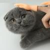 Cartoon Fun Creative Funny Mini Finger Puppet Set Soft Little Hands Five Finger Model Gestures Tease Cat Pet Toys Halloween Gift