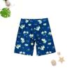 Boys' Dinosaur Print Split Swimsuit Set