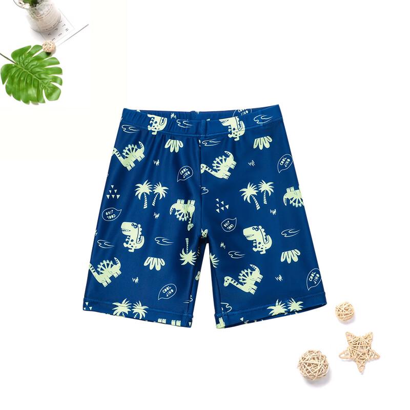 Boys' Dinosaur Print Split Swimsuit Set