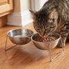 Large Capacity Stainless Steel Cat Bowl Anti-Tipping Double Water Bowls  for Kitten