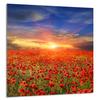 PANEL SZKLANY DO KUCHNI 60x65 Maki