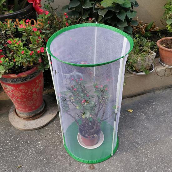 Mini seră Butterfly Habitat pentru observare în interior și exterior Cușcă robustă, reutilizabilă, în formă de cilindru, cu plasă vizibilă
