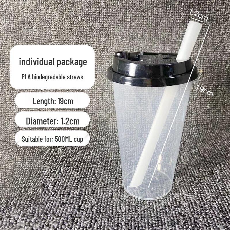 ZISIZ PLA Biodegradable Individually Wrapped Straws