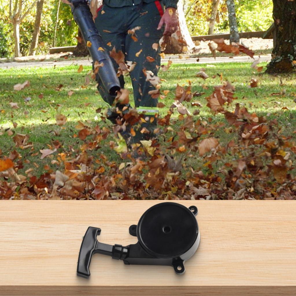 Garten Rückstoßstarter Nein. 4258 Rückstoßstarter 1 Stück