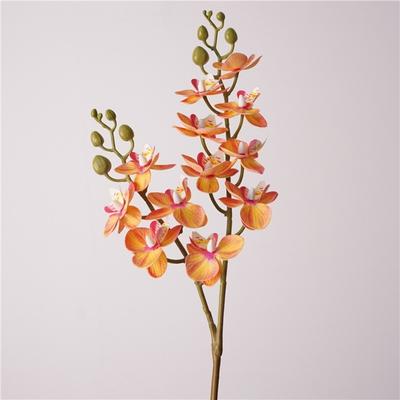 12 Heads Artificial Phalaenopsis Flower Moth Orchid Single Branch Simulation Butterfly Orchid Flower Arrangement DIY