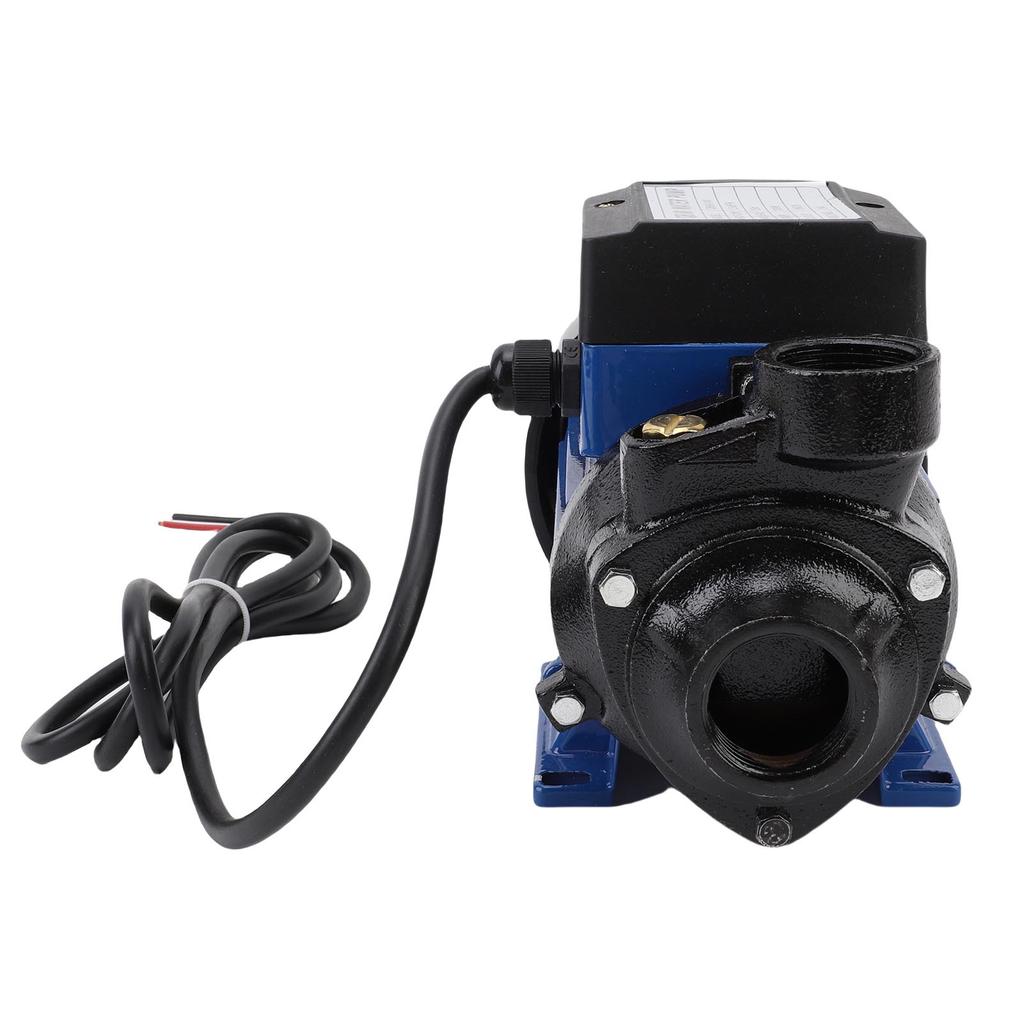 Bewässerungspumpe 230W 1,5m³/H Durchfluss 1 Zoll Auslass Leise 3200 U/min 25m Förderhöhe für Landwirtschaft