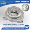 SJ Motorcycle Parts Scooter Water Pump Minarelli Horizontal Assembly For Malaguti F12 Phantom LC F15 Fire Fox 50 1996 -1998