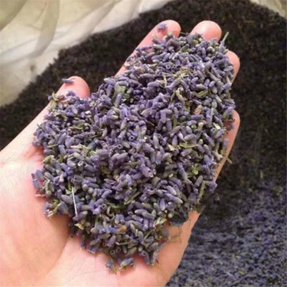 Herbata z suszonych kwiatów lawendy 50g Kwiatowy Bloom Pomoc w zasypianiu Prezent
