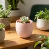 3D Printed Cracked Egg Planter Creative Eggshell Shape Flowerpot Pen Holder Storage Ornament Macaron Colors for Home Decor Gift