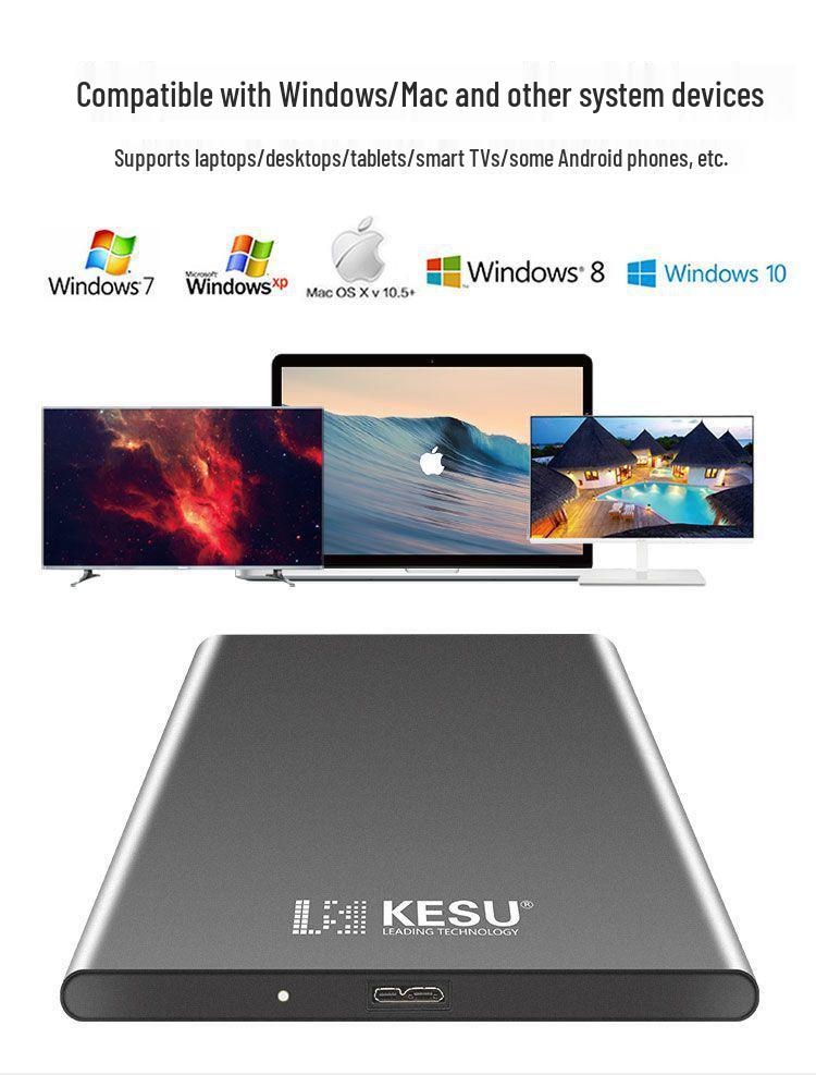 High-Speed 1TB USB 3.0 Tragbare Festplatte, Großkapazität 2TB Externes Speichergerät